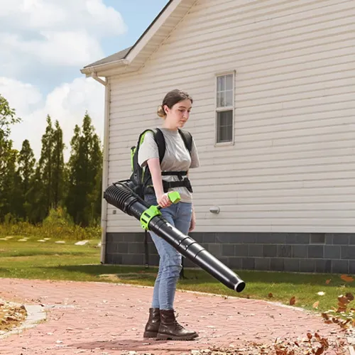 Воздуходувка ранцевая Greenworks GD40BPG2 40V 2408107 бесщеточная аккумуляторная